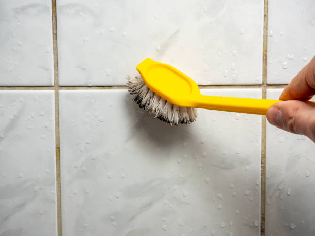 Best Kitchen Mold Remediation in Butler, GA