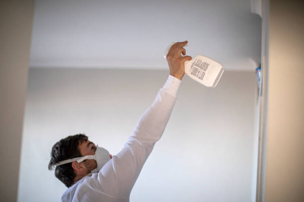 Best Mold Remediation for Specific Building Types in Butler, GA