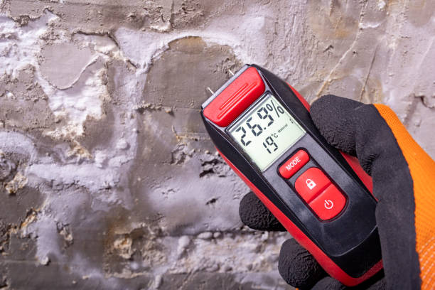 Best Crawl Space Mold Remediation in Butler, GA