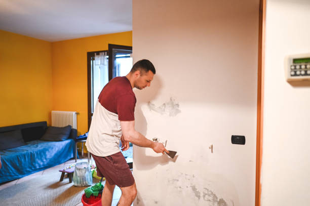 Best Residential Mold Remediation in Butler, GA